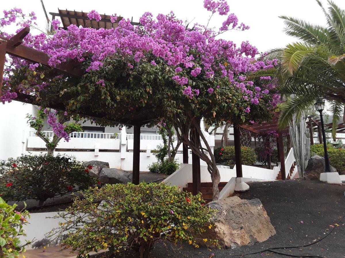 Appartement Le parisien à Costa Teguise Extérieur photo
